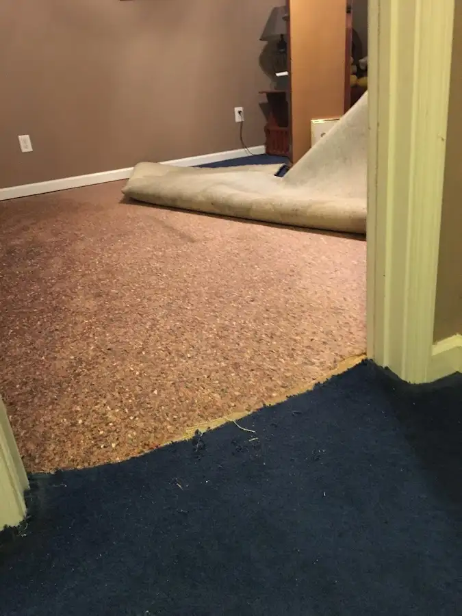Carpet pad removal revealing water damage during Drying & Dehumidification in Mercer Island